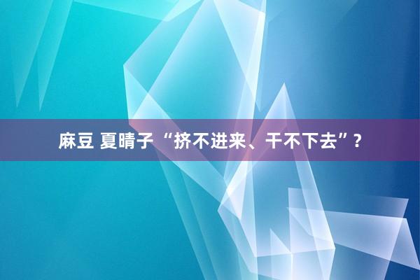 麻豆 夏晴子 “挤不进来、干不下去”？