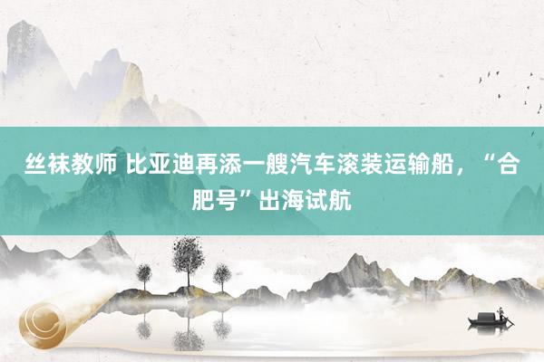 丝袜教师 比亚迪再添一艘汽车滚装运输船，“合肥号”出海试航