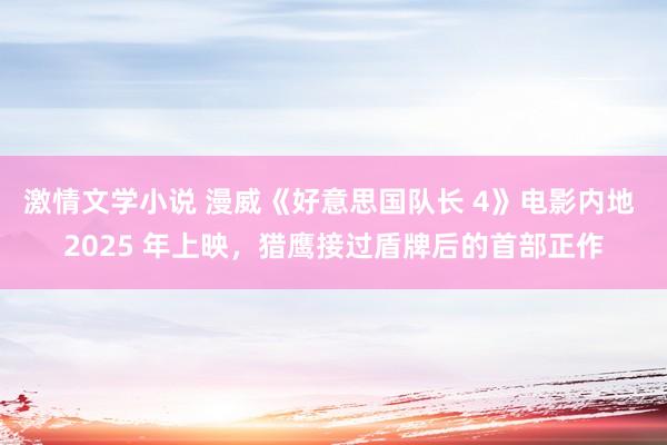 激情文学小说 漫威《好意思国队长 4》电影内地 2025 年上映，猎鹰接过盾牌后的首部正作