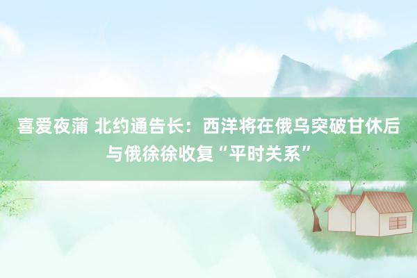 喜爱夜蒲 北约通告长：西洋将在俄乌突破甘休后与俄徐徐收复“平时关系”