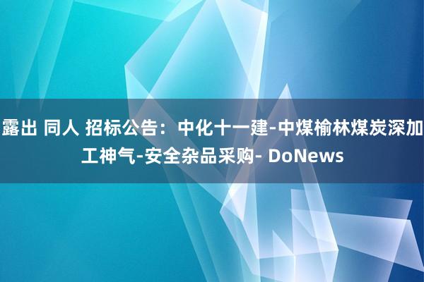 露出 同人 招标公告：中化十一建-中煤榆林煤炭深加工神气-安全杂品采购- DoNews