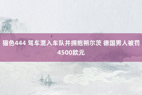 猫色444 驾车混入车队并拥抱朔尔茨 德国男人被罚4500欧元