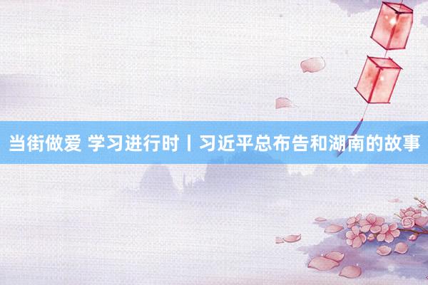 当街做爱 学习进行时丨习近平总布告和湖南的故事