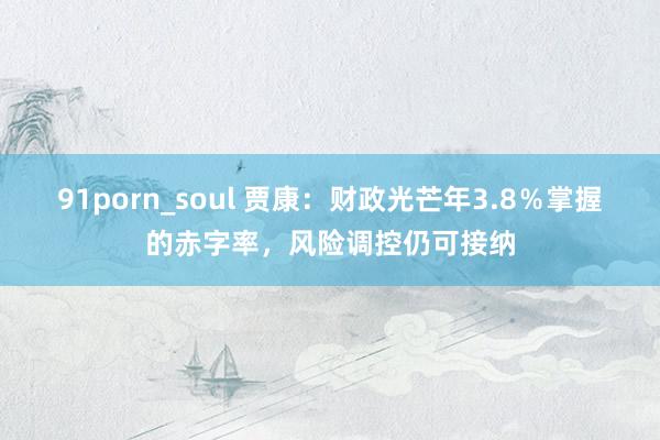 91porn_soul 贾康：财政光芒年3.8％掌握的赤字率，风险调控仍可接纳