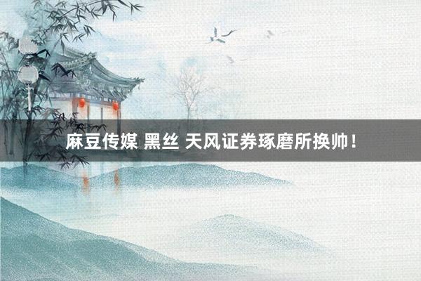 麻豆传媒 黑丝 天风证券琢磨所换帅！