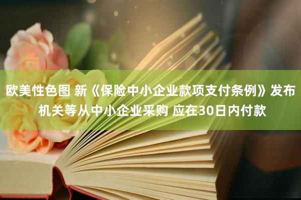 欧美性色图 新《保险中小企业款项支付条例》发布 机关等从中小企业采购 应在30日内付款